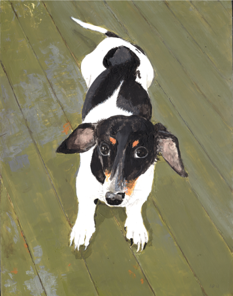 A dachshund named Kismet who had 8 beautiful babies in Iowa is rendered in acrylic paint on board sitting on a painted wooden floor in a Victorian house